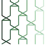 Topological Quantum Neural Networks Learning